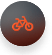 Over ons Ape Ryder - 10