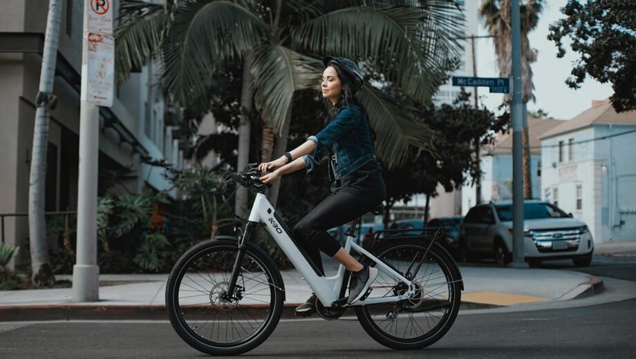 Cargo E-Bike - 1