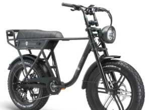 Ape Ryder A10 Pro - 2