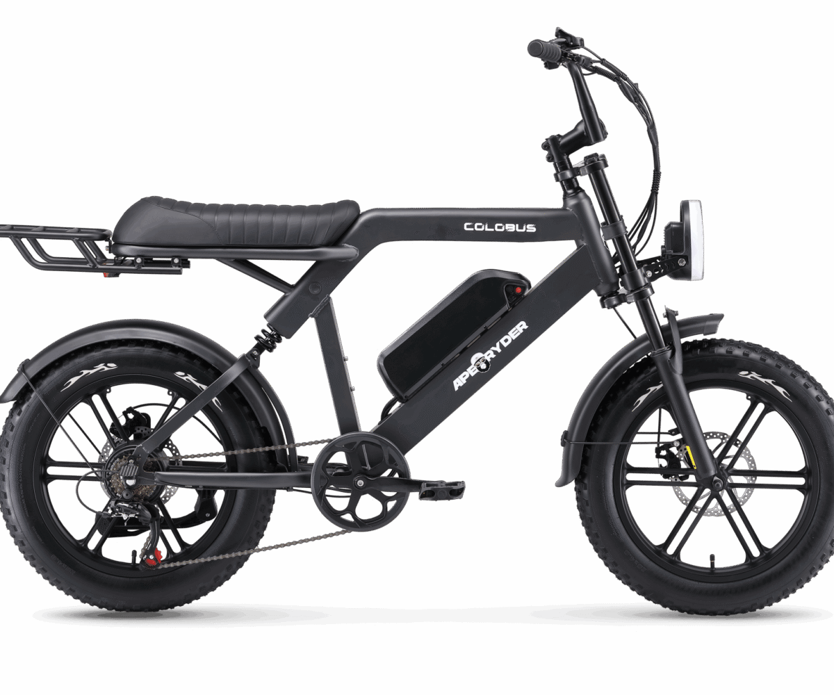 Ape Ryder Colobus Premium E-bike - Hoogwaardige Elektrische Fiets - 1