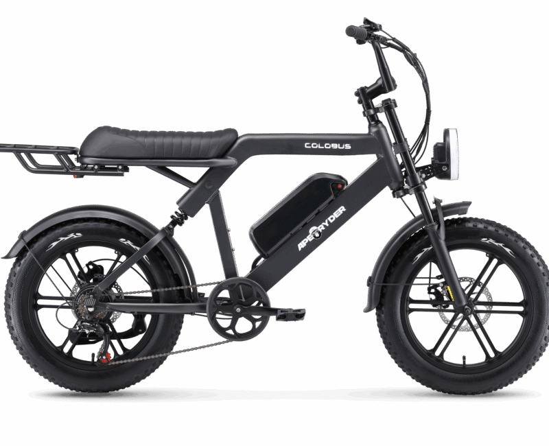 Ape Ryder Colobus Premium E-bike - Hoogwaardige Elektrische Fiets - 7
