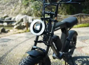 Ape Ryder Colobus Premium E-bike - Hoogwaardige Elektrische Fiets - 10