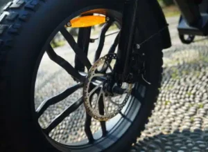 Ape Ryder Colobus Premium E-bike - Hoogwaardige Elektrische Fiets - 6