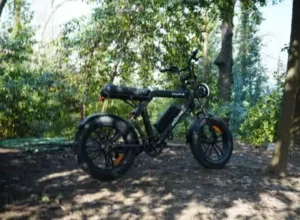 Ape Ryder Colobus Premium E-bike - Hoogwaardige Elektrische Fiets - 8