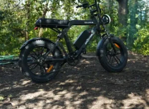 Ape Ryder Colobus Premium E-bike - Hoogwaardige Elektrische Fiets - 7
