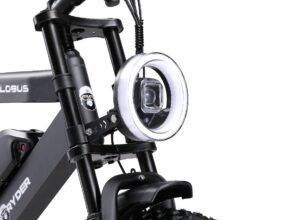 Ape Ryder Colobus Premium E-bike - Hoogwaardige Elektrische Fiets - 3