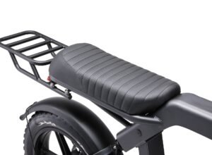 Ape Ryder Colobus Premium E-bike - Hoogwaardige Elektrische Fiets - 4