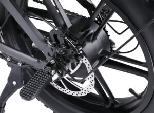 Ape Ryder Colobus Premium E-bike - Hoogwaardige Elektrische Fiets - 5