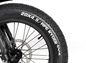 Bonobo - Forest - Ape Ryder Bonobo - Forest - 10