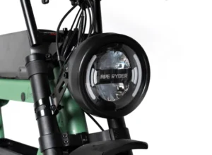 Bonobo - Forest - Ape Ryder Bonobo - Forest - 8