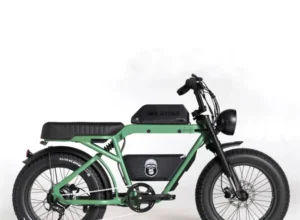 Bonobo - Forest - Ape Ryder Bonobo - Forest - 3