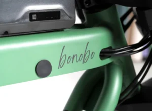 Bonobo - Forest - Ape Ryder Bonobo - Forest - 5