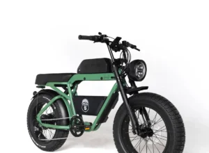 Bonobo - Forest - Ape Ryder Bonobo - Forest - 2