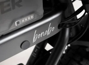 Bonobo - Middernacht - 7