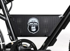 Bonobo - Middernacht - 8