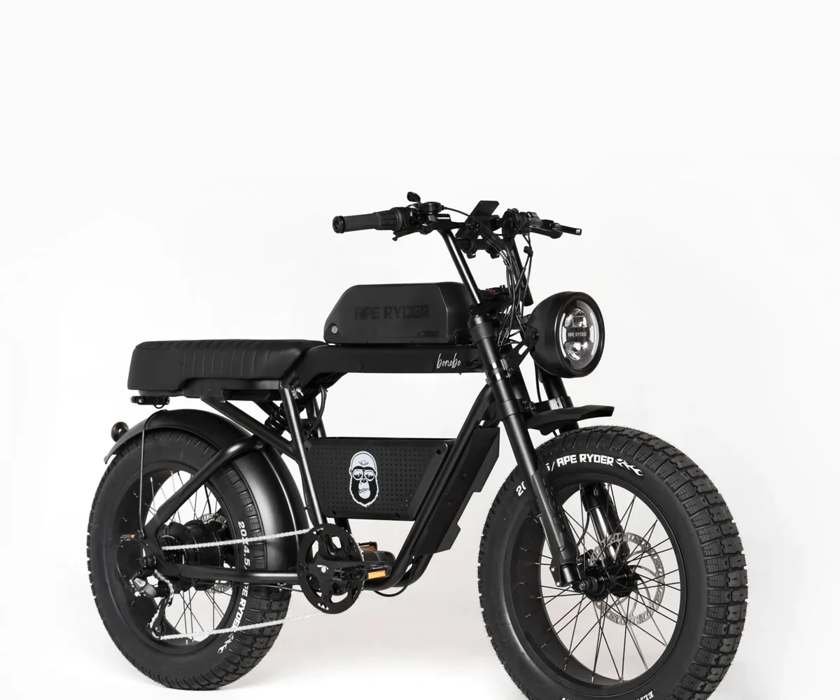 Bonobo - Middernacht - 1