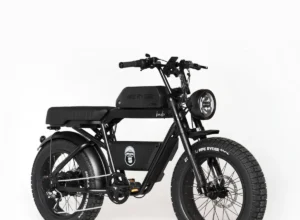 Bonobo - Middernacht - 2