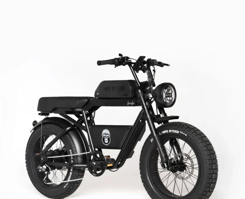 Bonobo - Middernacht - 2