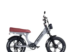 Gibbon - Glacier - 6