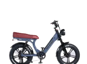 Gibbon - Oceanic - 3