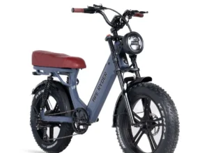 Gibbon - Oceanic - 2