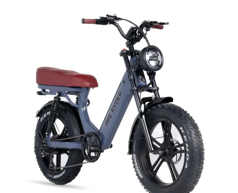 Gibbon - Oceanic - 3