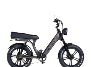 Gibbon - Carbon - Ape Ryder Gibbon - Carbon - 4