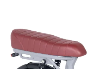 Gibbon - Glacier - 5