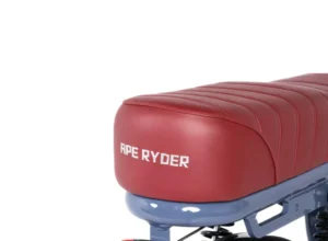 Gibbon - Oceanic - 8