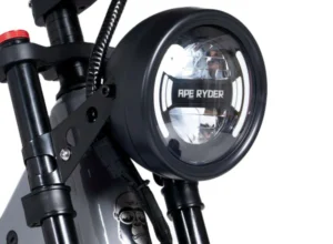 Gibbon - Glacier - 4