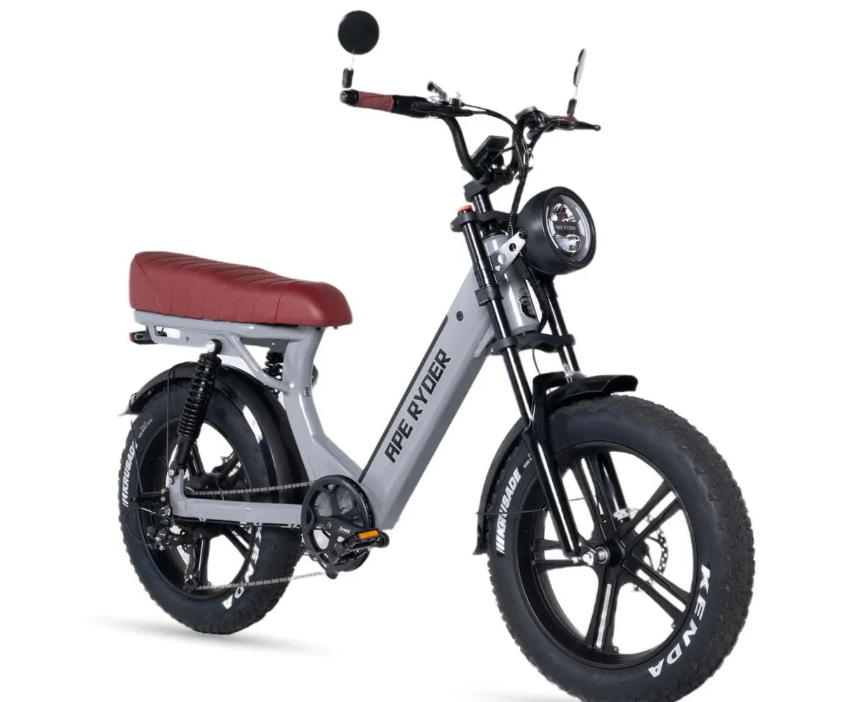 Gibbon - Glacier - 1