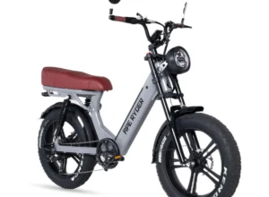 Gibbon - Glacier - 2