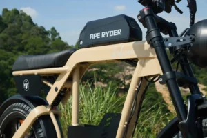 Robuuste constructie